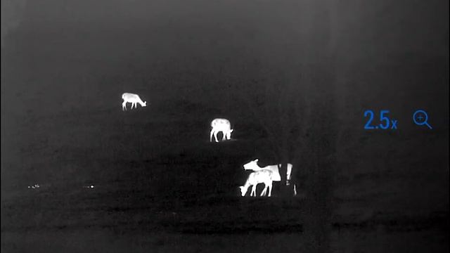 Pulsar Pro Series – Helion 2 XP50 Pro смотреть онлайн