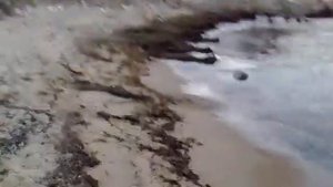 Ливадия приморский край, база отдыха