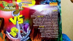 Деагостини АКУЛЫ и КО МАКСИ ЗЕЛЕНАЯ МУРЕНА Deagostini распаковка