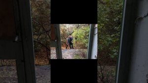 Гарнизон Шперенберг (Sperenberg) 22.10.2022. Привет выпускникам школы 137 ГСВГ 1990 года.