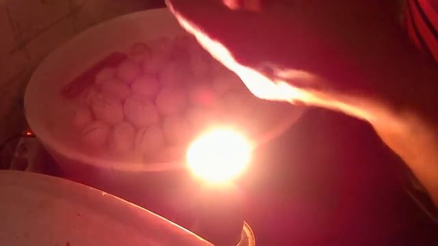 Овоскопирование утиных,гусиных яиц смотреть онлайн