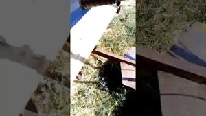 Как правильно заводить мотоблок