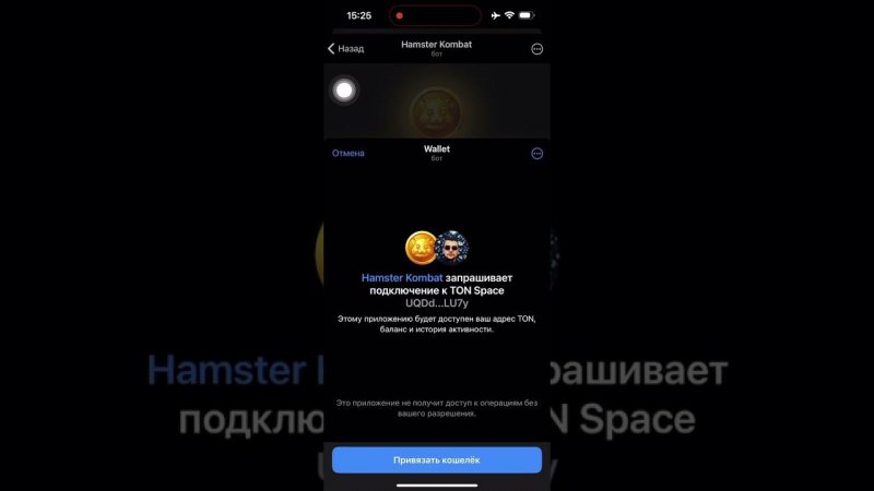 Подключить кошелек для DROP в Hamster простой способ.