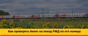 Как проверить подлинность (легитимность) билета на поезд РЖД по его номеру