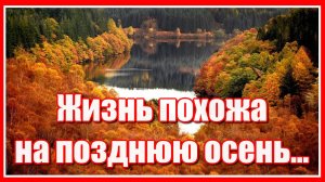 "Жизнь похожа на позднюю осень, годы словно как листья летят..."  Красивое жизненное стихотворение.