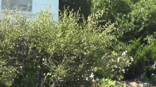 Sogndalstrand Sokndal Rogaland Norway смотреть онлайн