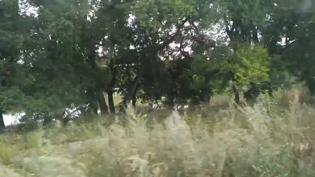 Пруд в с. Першино на Первомайской смотреть онлайн