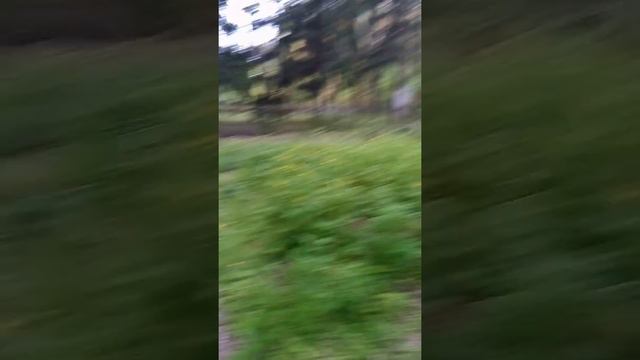 Заброшенный лагерь "Салют" смотреть онлайн