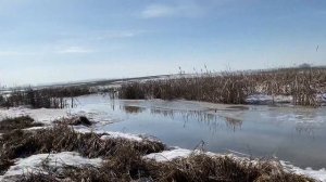 Небольшая фотосъёмка в начале весны(A small photo shoot in early spring)