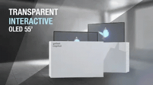 Transparent interactive OLED 55’ | Прозрачная матрица