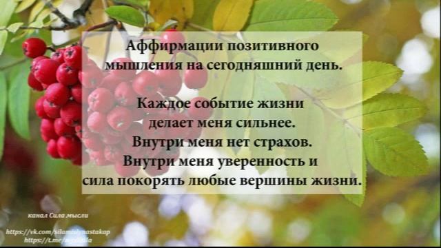 Аффирмации позитивного мышления на 14 октября смотреть онлайн