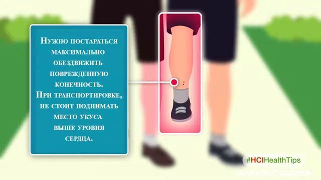 Что делать если вас укусила змея? смотреть онлайн