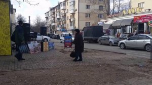 Стоит сосна -- уличное исполнение