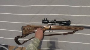 Выбор мелкашки, болтовик или полуавтомат ???