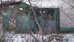 ГОЛУБЕВОДСТВО МОСКВЫ. ПИТОМНИКИ.#голубятни#голуби#голубеводство#питомник#выставкаголубей#pigeon