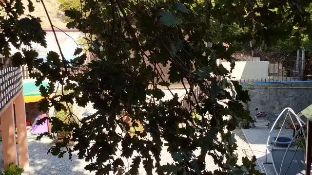 Гостевой дом Лазурный, Гурзуф (ул. Лазурная, д. 5). Романтика в Крыму у скал и под дубами смотреть онлайн