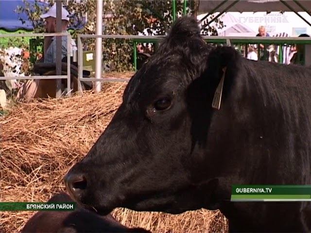 ФИРМА "МУСТАНГ ТЕХНОЛОГИИ КОРМЛЕНИЯ" ПРИНЯЛА УЧАСТИЕ В "СВЕНСКОЙ ЯРМАРКЕ"  28 08 17