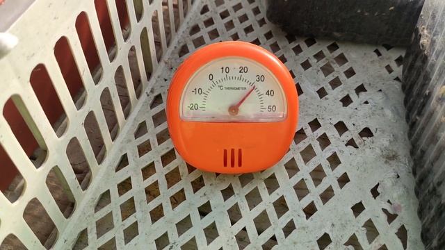 24# Как спасти рассаду/Рассаде плохо в жаре#дача#огород#рассада#сибирь смотреть онлайн