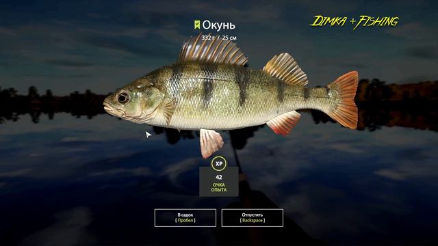 Русская рыбалка 4.🎣🦈 р. Волхов 🐋🐬🐬💦 ГДЕ ЛОВИТ LATORSO 👀 смотреть онлайн