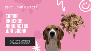 Вкусное и полезное лакомство для собак|Готовим говяжье лёгкое в электросушилке