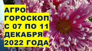 Агрогороскоп с 07 по 11 декабря 2022 года