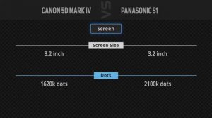 Canon 5D Mark IV vs Panasonic S1  [Camera Battle]