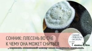 «Сонник Плесень приснилась, к чему снится во сне Плесень»