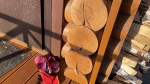 Птицы "сожрали" дом. И что теперь делать?