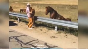 Добрые и трогательные поступки: люди и животные помогают друг другу!