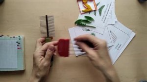 Петельчатый квиллинг  Инструмент   гребенка
