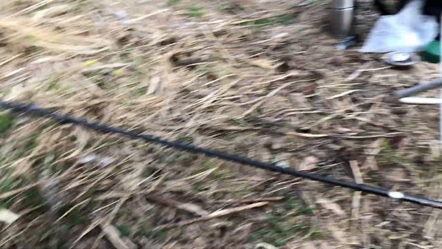 КРУПНЫЙ КАРАСЬ на закате. Весенняя ловля карася на удочку! смотреть онлайн