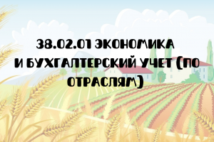 38.02.01 Экономика и бухгалтерский учет (по отраслям)