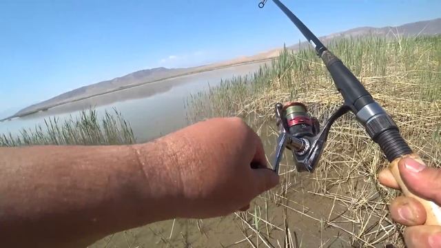 Рыбалка на ИЛИ крутая раздача на открытии 2023 СУДАК, ЛЕЩ, ВОБЛА смотреть онлайн