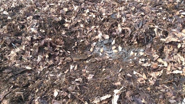 Картоха под перегноем смотреть онлайн