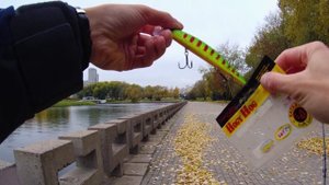 Спиннинг осенью. Твичинг в холодной воде.