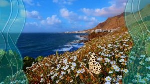 Я НЕ СТАНУ ЖДАТЬ ТЕБЯ НА БЕРЕГУ...