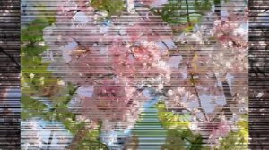 весенняя пляска