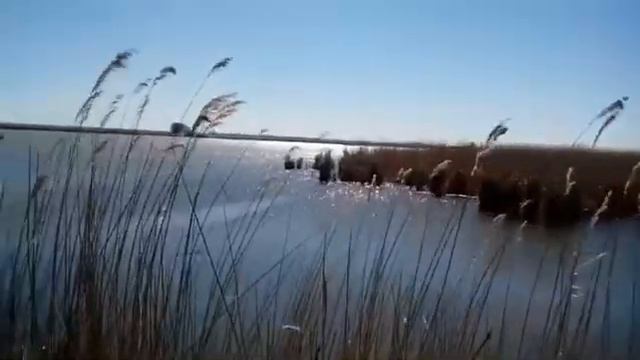 Шашлыки во время рыбалки. смотреть онлайн