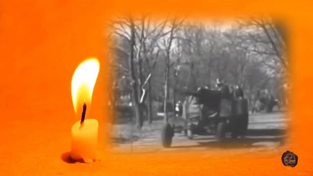Как действительно воевал дед Анатолия Шария
