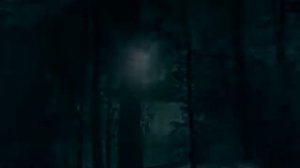 Страшная история от Гробовщика Бони 'Ночь на даче'