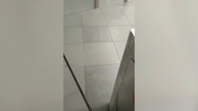 Проходим по румынскому паспорту таможню в аэропорту Рима. Румынское гражданство.