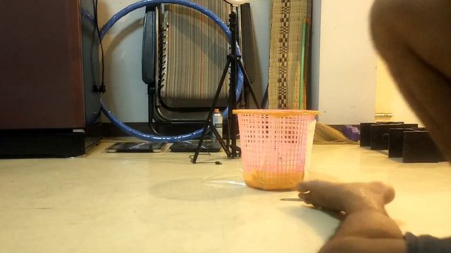 โมจิโต้ฮอลแลนด์ Syngonium Mojito смотреть онлайн