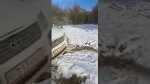Тойота саксид  4wd  зима лес