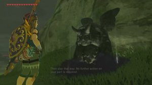 Zelda Breath of the Wild - How to Exchange Hearts & Stamina