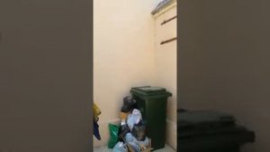 Патимат Шапиева Дагестанская народная певица ..Аварские свадбы