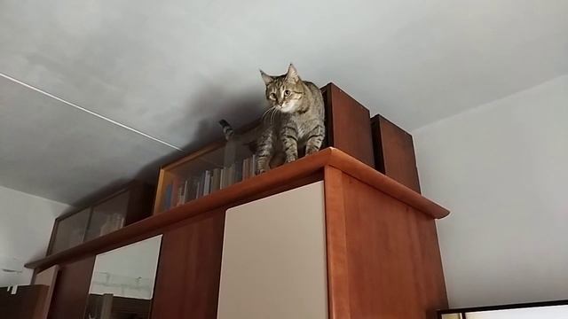 Ксения Анатольевна в полёте