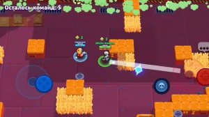 играю в бравл старс и коплю на честора