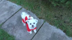 Кевин НА ПЛЯЖЕ! Лола ВЛЮБЛЕНА в Билю и ждет СВИДАНИЕ!!!