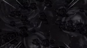 Футаж-фон-Background.Черные розы(двойной)