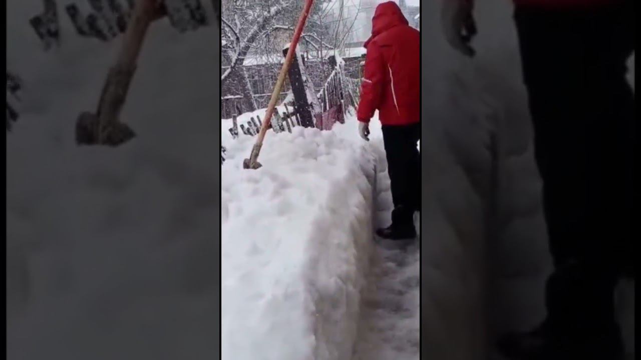 Апокалипсис short #shotrs #снегопад #метель #apocalypse #снегкружится #snowfall #апокаліпсис